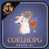 Logo da COELHOPG